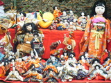 2011-5-13no8