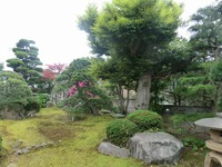 CIMG0822
