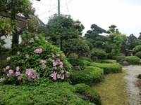 CIMG0826