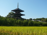 法起寺1