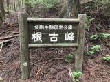 IMG_0091