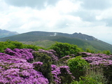 獅子戸岳から新燃岳
