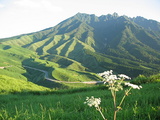阿蘇(根子岳)