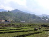 CIMG0524