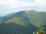 稲村ヶ岳山 hspace=