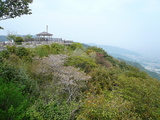 ������2010