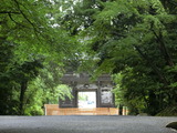 CIMG0968