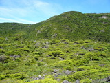 坪庭から北横岳方面