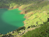 新燃岳火口湖緑