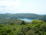 霧島東神社から御池