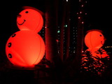 snow6