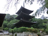 CIMG0977