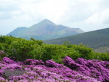 獅子戸岳から高千穂峯