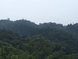 IMG_0793