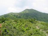 武奈ヶ岳3