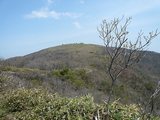 小女郎峠から蓬莱山