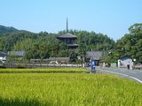 法輪寺