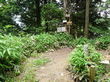 大比叡山頂