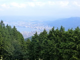 CIMG1007