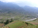 CIMG0542