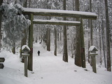 鳥居冬