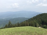 IMG_0088