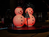 snow5