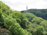 枚岡から生駒山