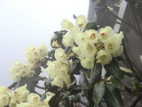 CIMG0639