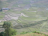 CIMG0543