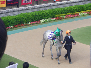 IMGP0450b