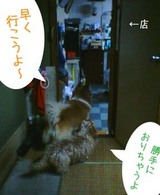 義兄弟。