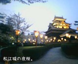 夜の松江城。