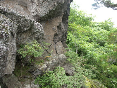 P9021264