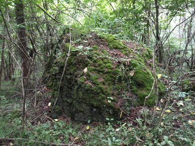 P9021248