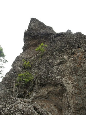 P9021262