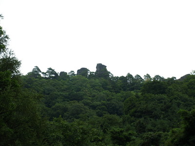 P9021234