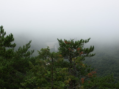 P9021265