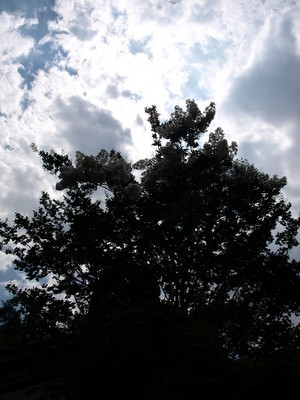 P8251069