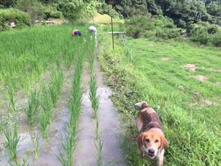 おりとぼうず1