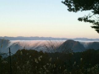 moblog_465140