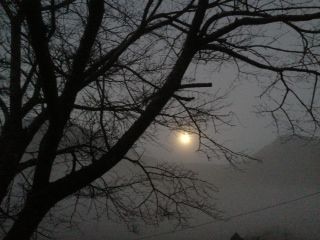 moblog_486273