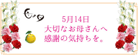 2017母の日ギフト画像
