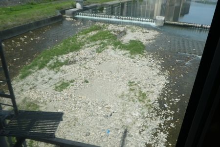 20180506お宮参り02