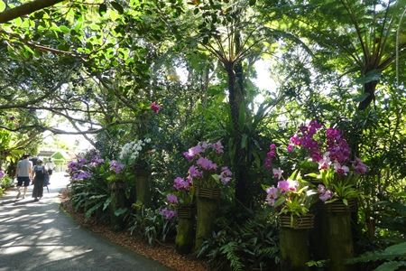 20180426沖縄旅行04