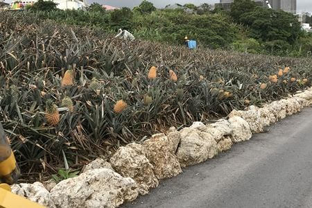 20180424沖縄旅行23