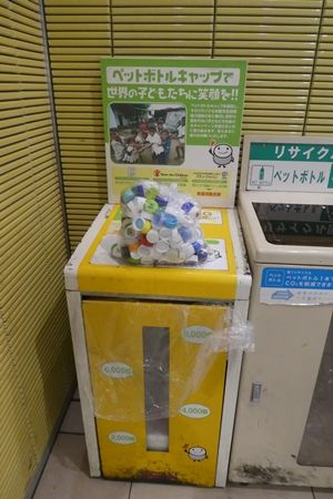 20180713パンフラワー03