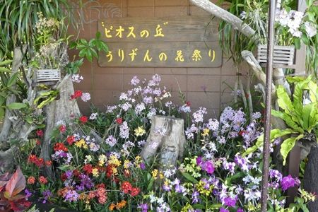 20180426沖縄旅行02