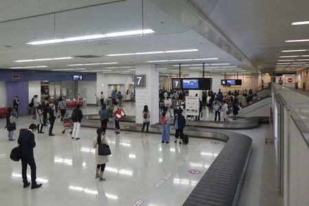 20180507アマリリス・ダンシングクイーン08