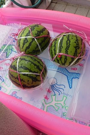 20180728誕生日・夏祭り02